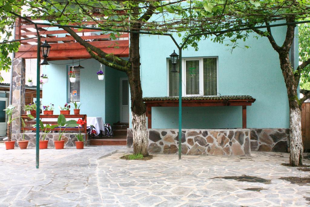 Busta House Hotell Bogdan Vodă Eksteriør bilde